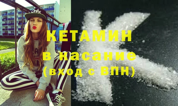 индика Алзамай