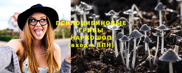 прущие крисы Алексин