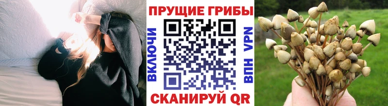 hydra   Ахтубинск  Псилоцибиновые грибы GOLDEN TEACHER  купить наркотик 